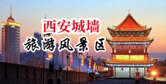 草逼逼逼逼逼逼逼逼逼逼中国陕西-西安城墙旅游风景区