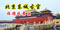 操逼爽片视频中国北京-东城古宫旅游风景区